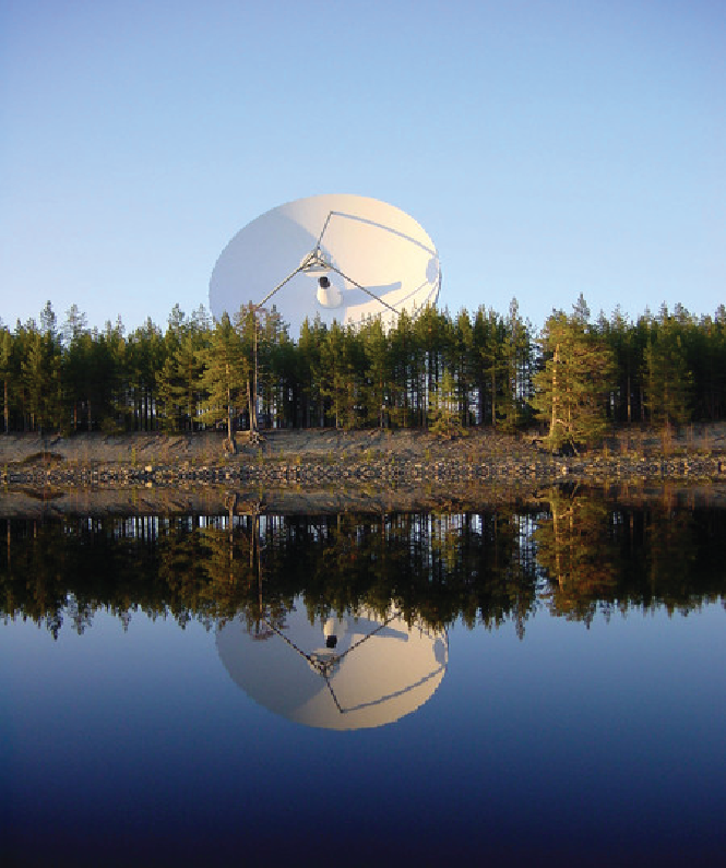 Dish